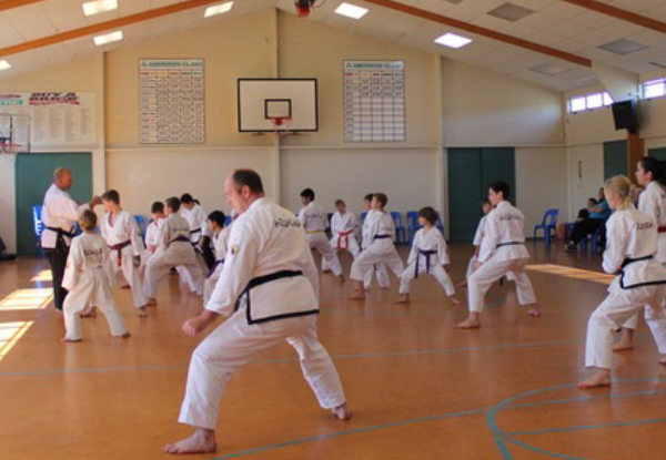 Taekidokai Martial Arts Senior Classes For One Month - Option for Junior Classes