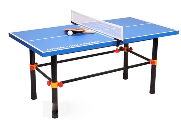 Premium Table Tennis Table - Two Sizes Available