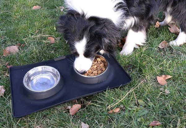 Stainless Steel Dog Bowl & Silicone Mat Set -  Two Sizes Available