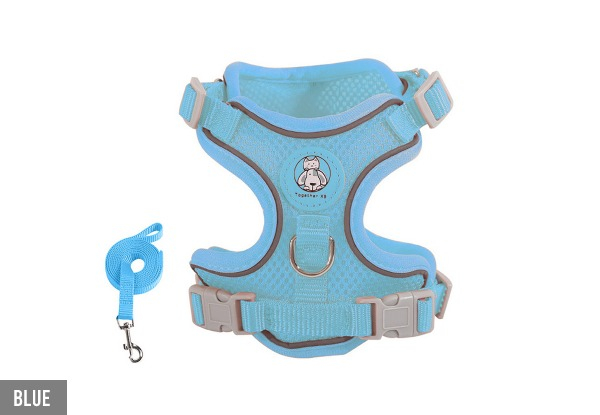 Pet Harness with Leash Set - Three Sizes & Four Colours Available