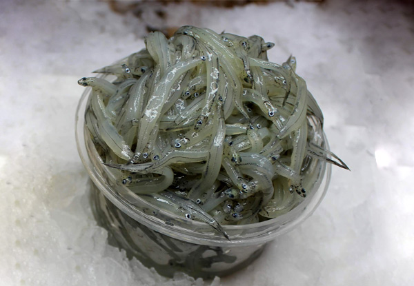 200gm Pot of NZ Whitebait – North Island Delivery