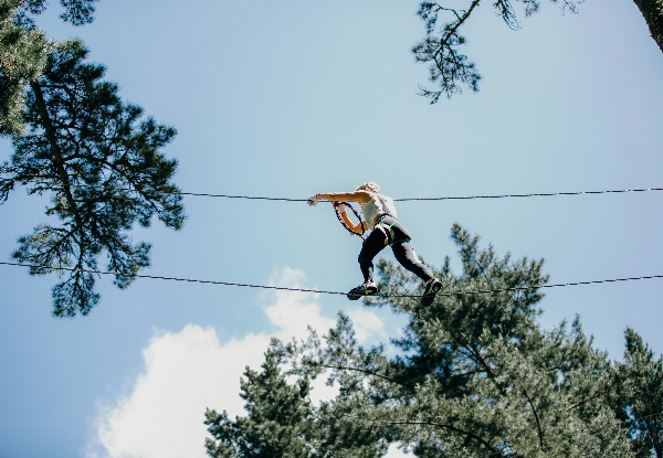 One Adult or Child Admission to Adrenalin Forest Park Porirua, Wellington - Valid Thursday to Sunday