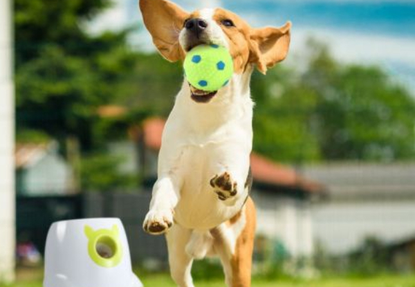 Petscene Automatic Dog Ball Launcher