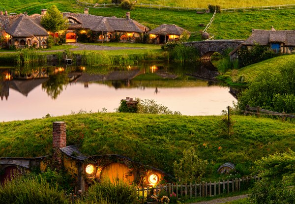 Guided Day Tour for One Adult incl. Hobbiton & Waitomo Glowworm Caves - Options for Child or Infant