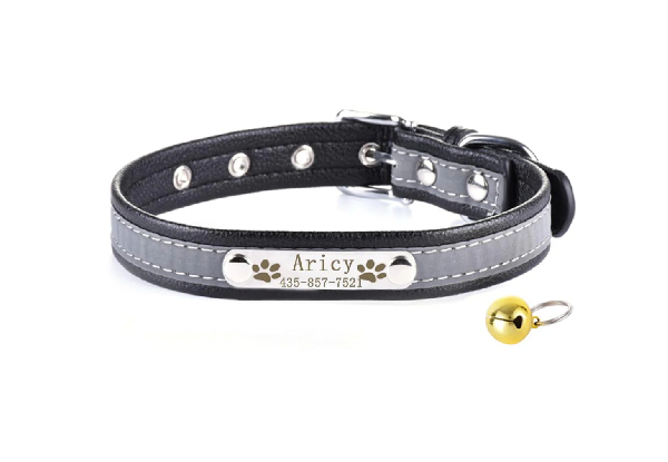 Custom Pet Collar - Four Sizes Available