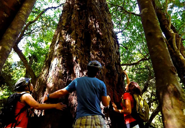 $99 for an Epic Tongariro Crossing Adventure for One incl. Two Nights' Accommodation, Your Choice of a Tongariro Crossing or Mountain Bike Adventure & More (value up to $195)