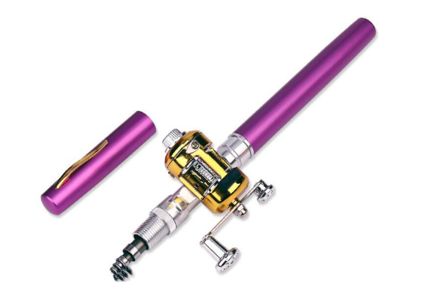 Pen Fishing Rod & Mini Reel Rod - Six Colours Available with Free Delivery