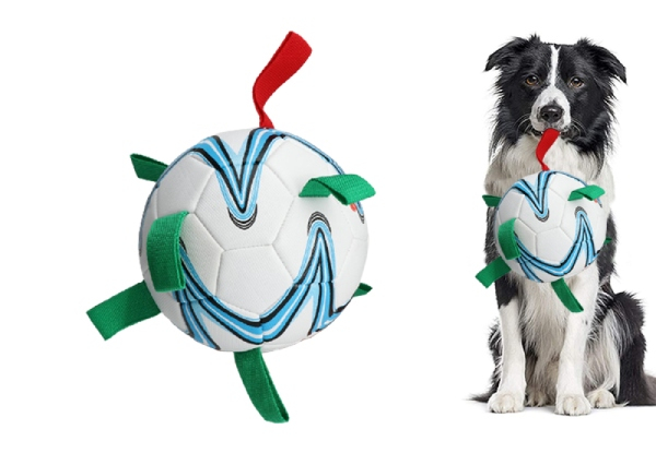 Soccer Ball Dog Toy - Option for Two
