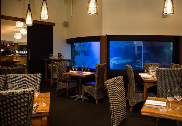 Paihia Lunch or Dinner for Two incl. One Main Course Per Person – Options for up to Eight People