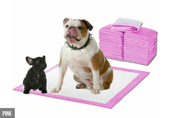 100Pk Pet Training Toilet Pads - Options for 400Pk - Two Colours Available