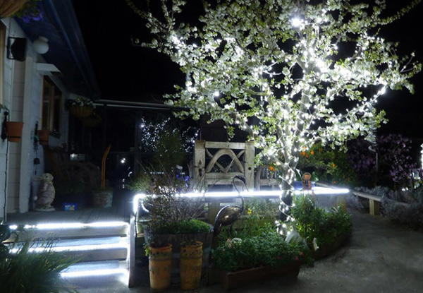 Six-Metre 60 LED Set of Fairy Lights for Indoor & Outdoor Use - Four Options Available