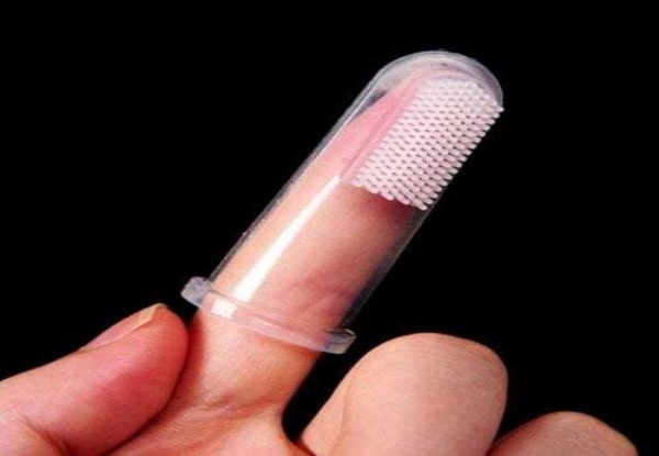 Transparent Pet Toothbrush