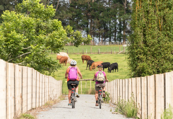 Twin Coast Cycle Trail - Taste of the Trail (Half-Day) or The Full Trail (Two-Days)