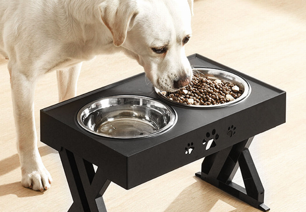 Pawz Elevated Pet Feeder