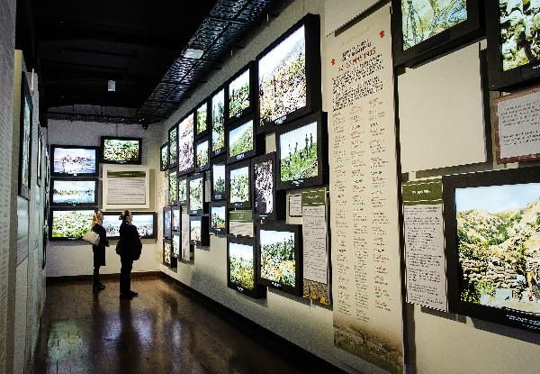 Entry to the Great War Exhibition - Options to incl. a 45-Minute Guided Tour, Entry to Newly Opened Quinn's Post Trench Experience, Guide & Souvenir Books
