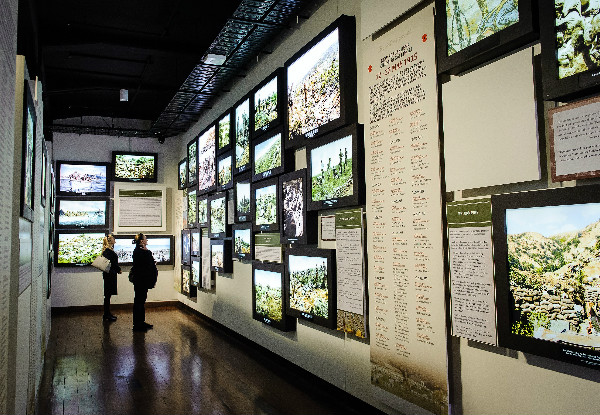 Entry to the Great War Exhibition - Options to Include a 45-Min Guided Tour, Themed Notepad or Trench Whistle & Souvenir Book