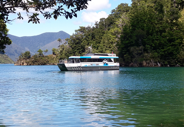 Mail Boat Special Day Trip through the Pelorus Sounds for an Adult - Option for Child