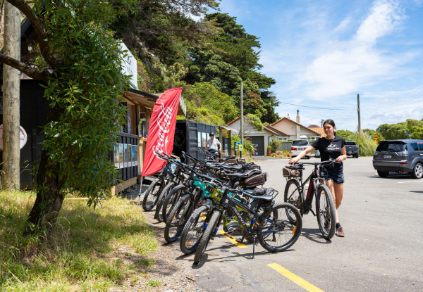 Four-Hour Mountain Bike Hire at Wildfinder Pencarrow