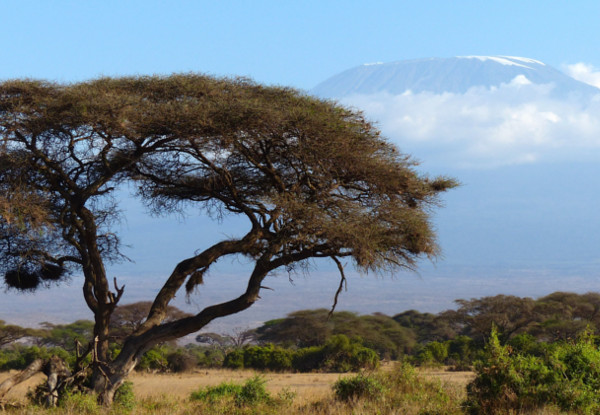 Per-Person Twin-Share for a Six-Night Climb Mount Kilimanjaro Summit Trek