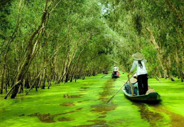 Per Person, Twin-Share 14-Day Ultimate Vietnam Escape: North to South Discovery & Phu Quoc Island Retreat