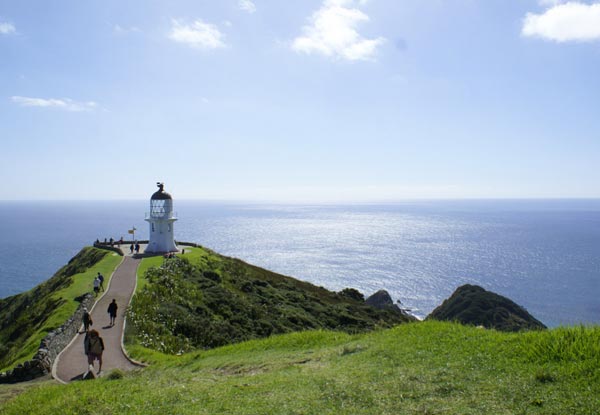 Dune Rider Full Day Tour to Cape Reinga via 90 Mile Beach incl. Lunch - Departing from Paihia or Kerikeri - Option for Two People & Family Pass