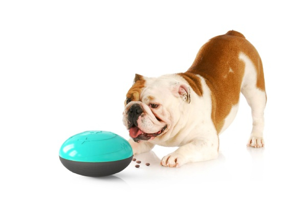 Puzzle Treat Dispenser Chew Toy for Dogs