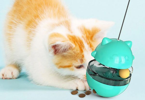 Cat Interactive Ball Tumbler Toy - Three Colours Available