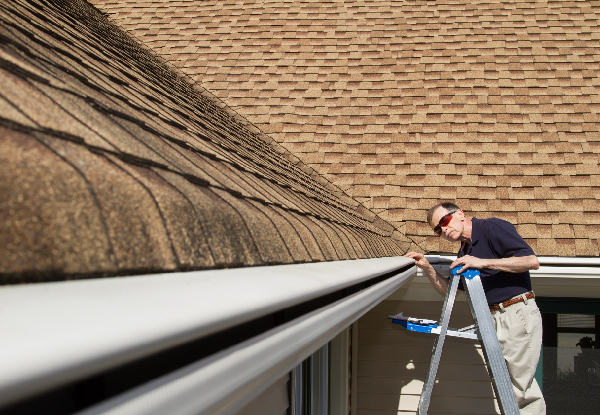 Roof Treatment for Moss, Mould, Lichen incl. Roof & Gutter Inspection for a Two-Bedroom Home - Options for Five-Bedroom Home