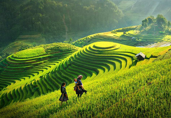 Per-Person Twin-Share Five-Day Vietnam Tour incl. Transport, Accommodation, English Speaking Guide, Activties & Sightseeing