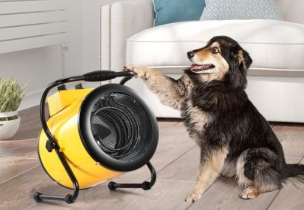 3000W Two-in-One Portable Industrial Fan Heater - Available in Three Colours