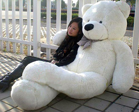 big teddy bear 200cm