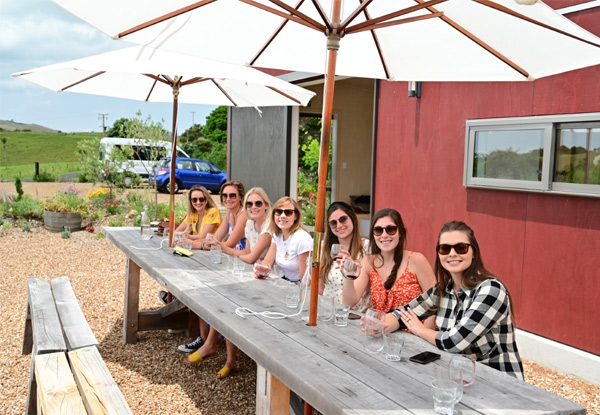 Boutique Waiheke Island Wine Tour incl. Three Tastings & One Food Pairing for One Person - Options for up to 10 People