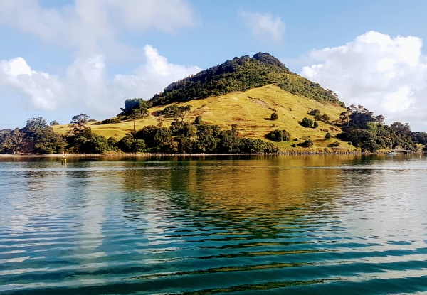 Three-Hour Sunday Afternoon Tauranga Scenic Harbour Cruise for One Adult - Option for Child & Infant