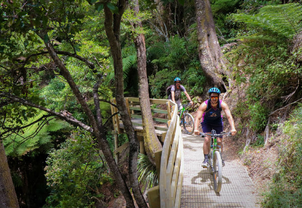 Three-Hour Bike Hire - Option for Electric Bike Hire