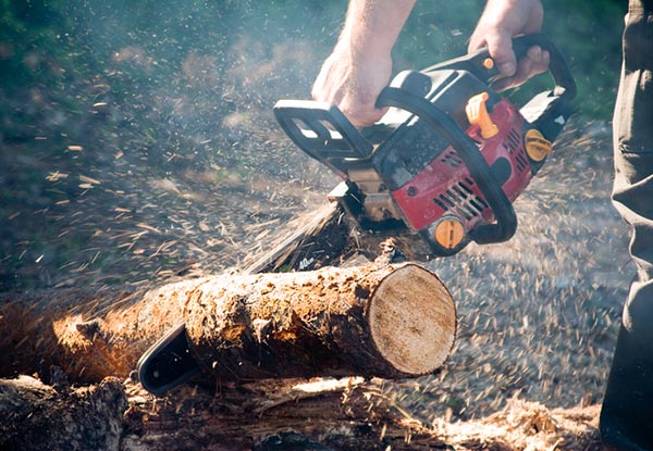 Two-Hour Chainsaw Training for Beginners - 23rd & 30th June & 7th July