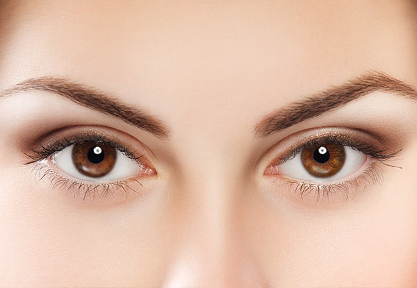 Eye Trio incl. Eyebrow Wax with Eyebrow & Eyelash Tint - Options for Upper Lip Wax, Underarm Wax, or Both