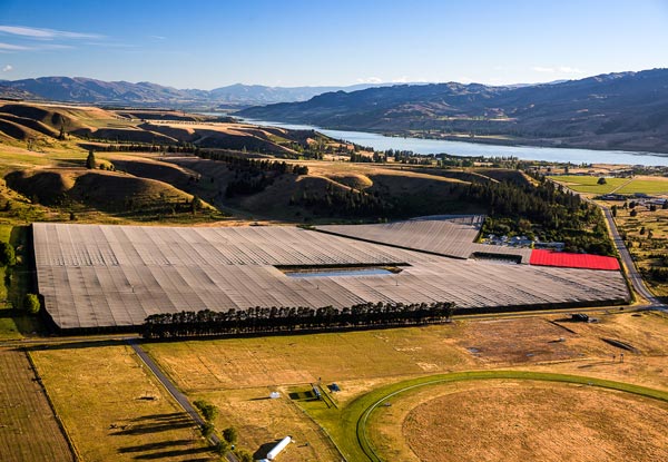 $59 for a Superior Central Otago Cherry Chinese New Year Luxury Gift Box incl. Delivery (value up to $96)