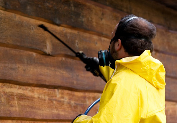 Gutter Cleaning & Full House Washing for a Two or Three-Bedroom House - Options for One & Two Storey Homes