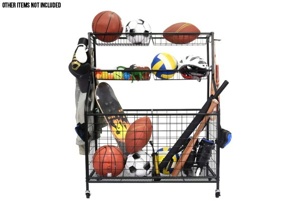 All-in-One Ball Storage Rack