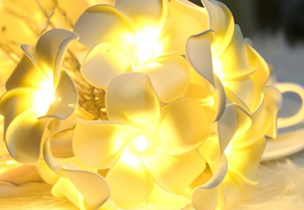 Frangipani String Light - Two Sizes Available
