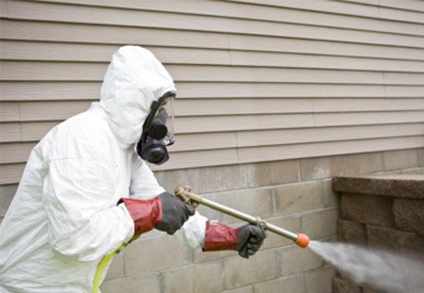 Internal or External Pest Control Service - Options for up to Five-Bedroom Dwellings