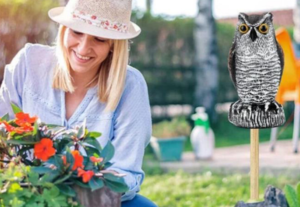 Large Garden Owl Decoy - Available in Two Colours