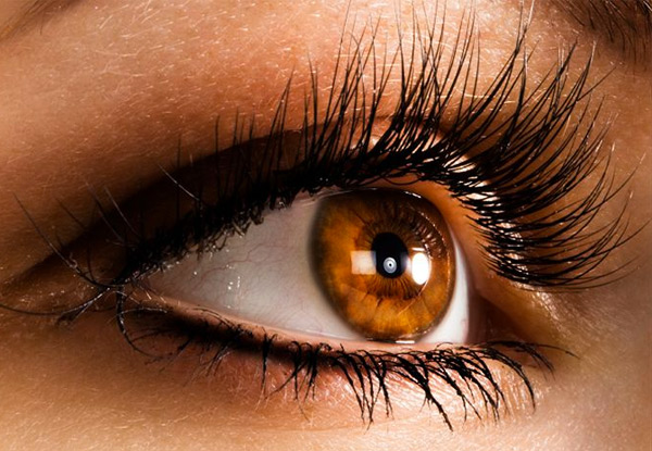 From $35 for an Eye Treatment Package incl. Brow Shape & Eyelash Tint