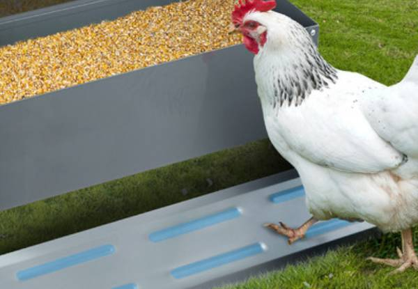 Automatic Chicken Feeder - Available in Two Sizes