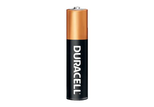 Duracell 24-Pack AA Coppertop Alkaline Battery