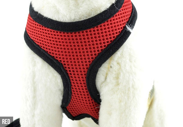 Adjustable Dog Harness - Four Colours Available