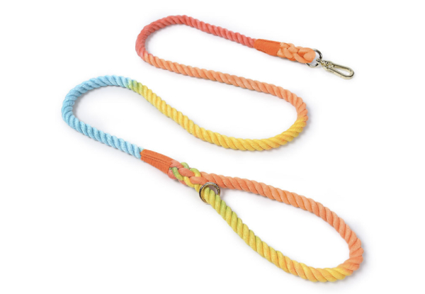 Colourful Soft Braided Rope Dog Leash - Two Sizes Available