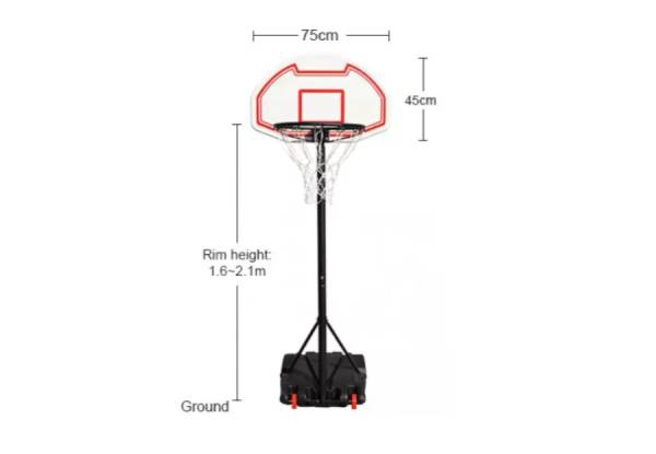 Portable Basketball Hoop with Stand