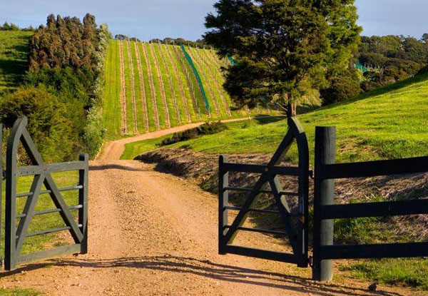 $70 for a Premium Three-Course Lunch at a Waiheke Vineyard for Two People - Options for up to Six People (value up to $408)
