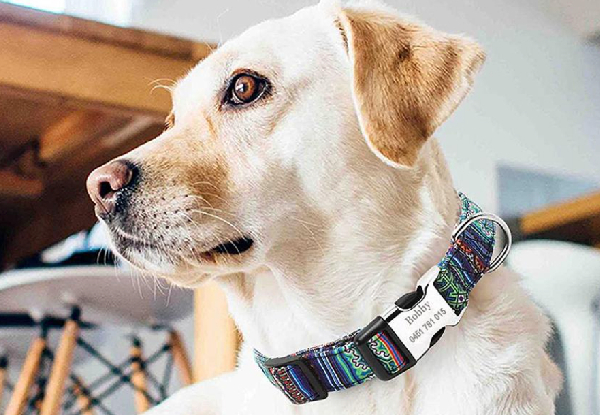 Personalised Ethnic Pet Collar - Four Sizes Available